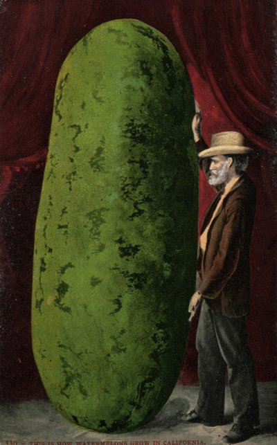 Kalifornische Wassermelone von English Photographer