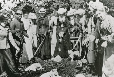 Katzenausstellung in den Royal Botanic Gardens, Westminster, im Jahr 1900 von English Photographer