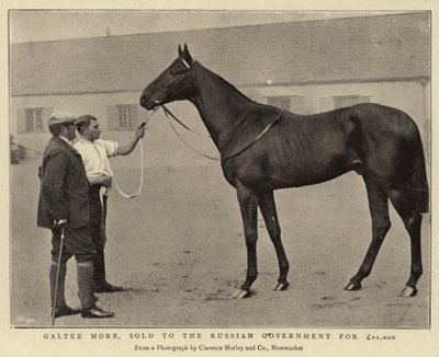 Galtee More, an die russische Regierung für £21.000 verkauft von English Photographer