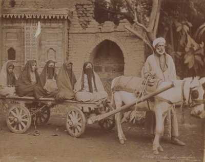 Pferdewagen, Kairo, 1893 von English Photographer