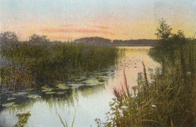 Hoveton Broad von English Photographer
