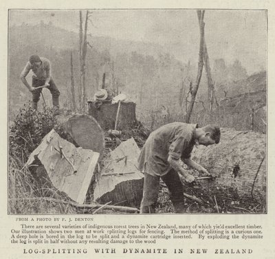 Holzspaltung mit Dynamit in Neuseeland von English Photographer