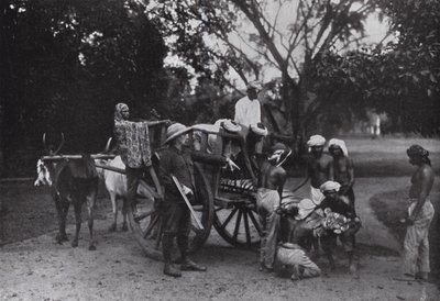 Herr G P Owen und ein Singapur-Tiger von English Photographer