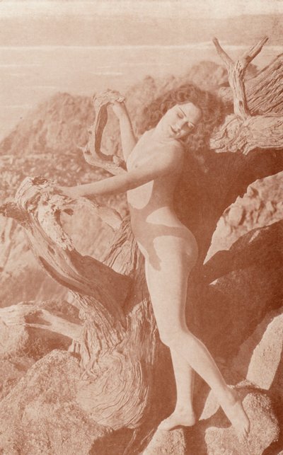 Nudistenkunst: Der Schatten von English Photographer