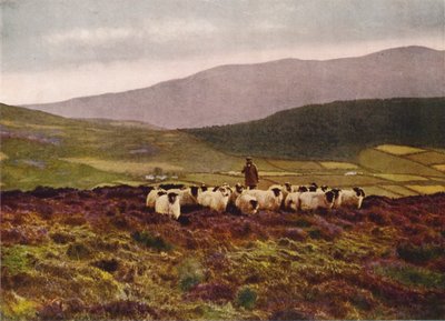 Auf den Mourne Mountains, County Down von English Photographer