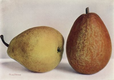 Birnen, Emile d