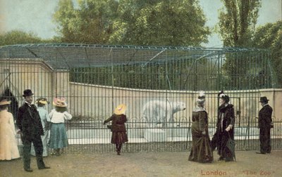 Menschen besuchen das Eisbärengehege im Londoner Zoo von English Photographer