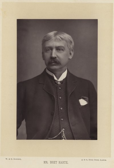 Porträt von Bret Harte von English Photographer