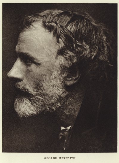Porträt von George Meredith von English Photographer