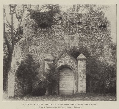 Ruinen eines Königspalastes im Clarendon Park, nahe Salisbury von English Photographer
