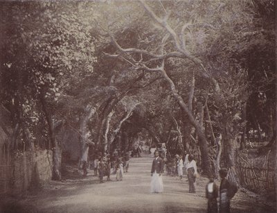 Skinners Road, Colombo von English Photographer
