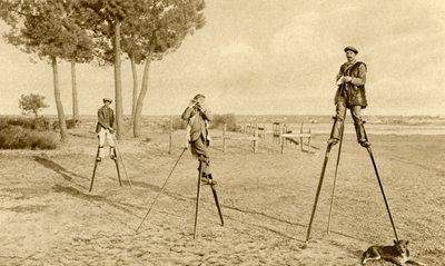 Stelzen von English Photographer