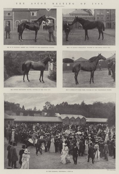 Das Ascot-Treffen von 1901 von English Photographer
