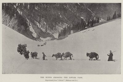 Die Buffs überqueren den Lowari-Pass von English Photographer