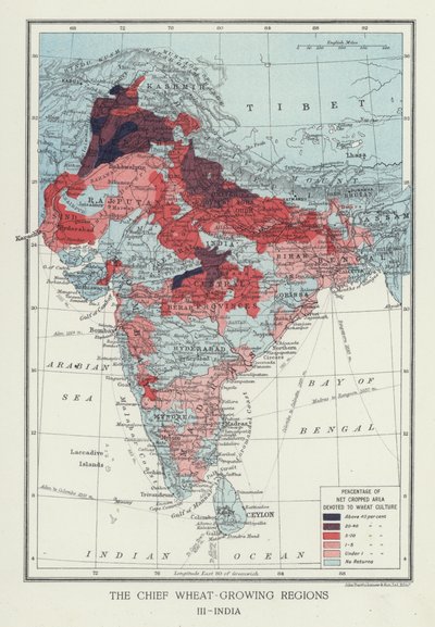 Die Hauptweizenanbaugebiete, Indien (Foto) von English Photographer