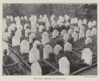 Der Hundefriedhof im Hyde Park von English Photographer