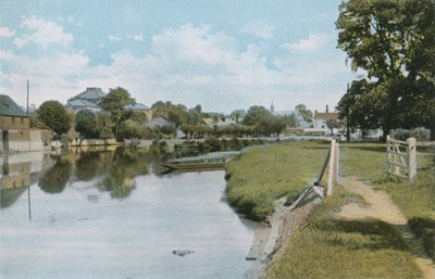 Die Ulmen und der Fluss Themse bei Abingdon von English Photographer