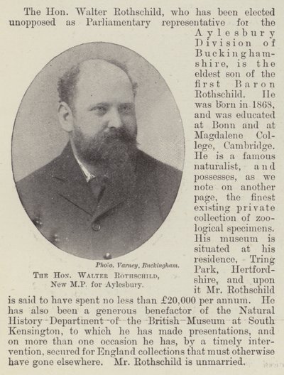 Der Ehrenwerte Walter Rothschild, neuer Abgeordneter für Aylesbury von English Photographer