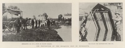 Die Verhinderung der Mückenplage durch Petroleum von English Photographer