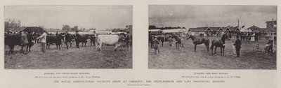 Die Ausstellung der Royal Agricultural Society in Carlisle, das vierundsechzigste und letzte Provinztreffen von English Photographer