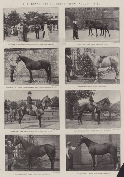 Die Royal Dublin Horse Show, 26.-29. August von English Photographer