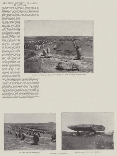 Die Steinmonumente von Carnac in der Bretagne von English Photographer