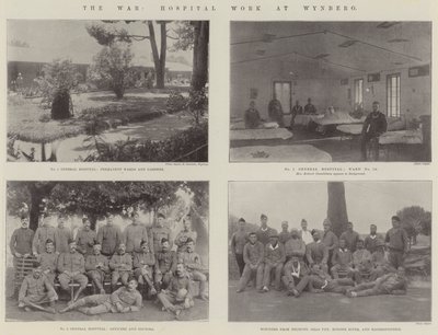 Der Krieg, Krankenhausarbeit in Wynberg von English Photographer