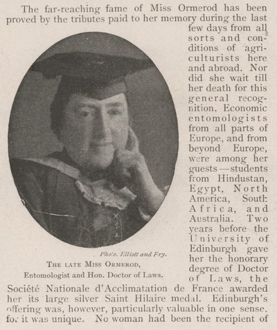 Die verstorbene Miss Ormerod, Entomologin und Ehren-Doktor der Rechtswissenschaften von English Photographer