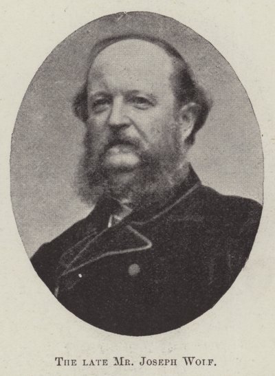 Der verstorbene Herr Joseph Wolf von English Photographer