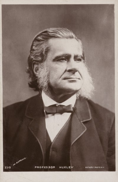 Thomas Henry Huxley (1825-1895), englischer Biologe von English Photographer