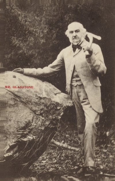 William Ewart Gladstone von English Photographer