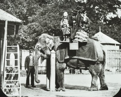 Zoologische Gärten, Regents Park: Elefant mit Erwachsenen und Kindern beim Reiten, London Zoo, 1894 von English Photographer