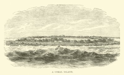 Eine Koralleninsel von English School