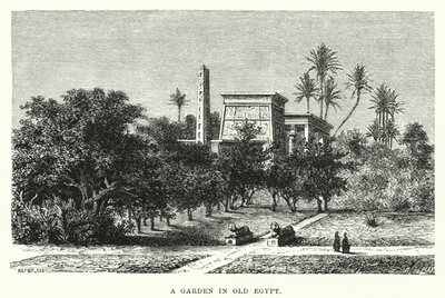Ein Garten im alten Ägypten von English School