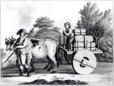 Eine portugiesische Farm, aus A General View of the State of Portugal von James Murphy, veröffentlicht 1797 von English School