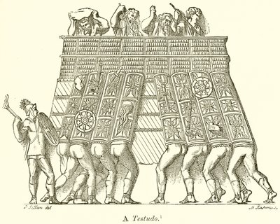 Eine Testudo von English School