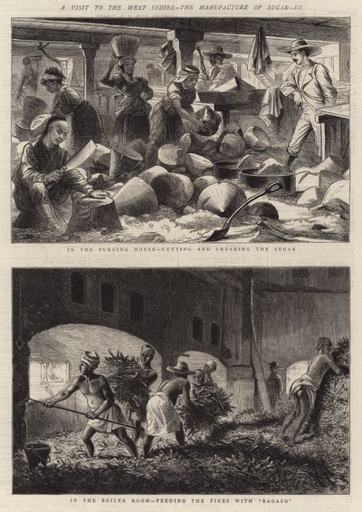 Ein Besuch in den Westindischen Inseln, die Zuckerherstellung, III (Gravur) von English School