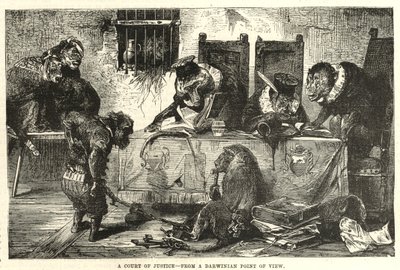 Ein Gerichtshof aus darwinistischer Sicht von English School