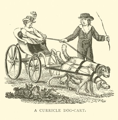 Ein Hundewagen von English School