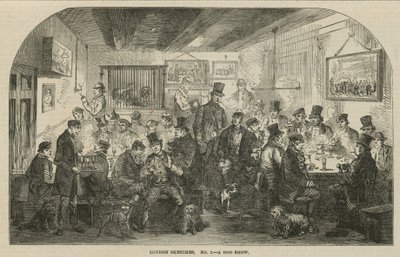 Eine Hundeschau von English School