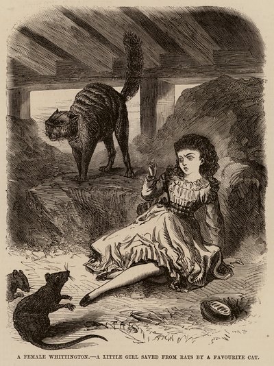 Ein weiblicher Whittington, ein kleines Mädchen, das von einer Lieblingskatze vor Ratten gerettet wurde (Gravur) von English School