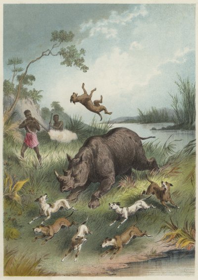 Eine Nashornjagd von English School
