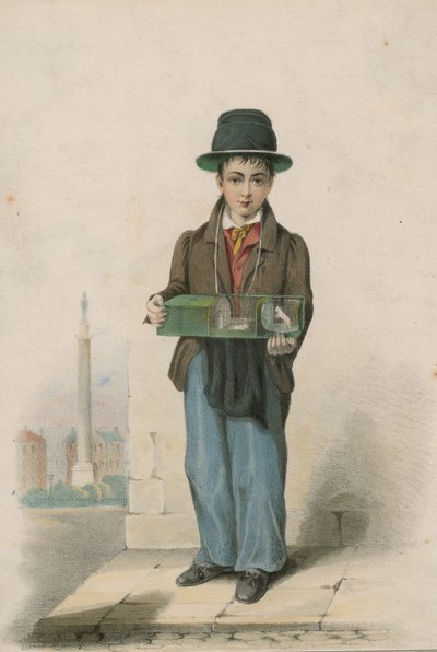 Ein Junge, der einen Käfig mit weißen Mäusen hält von English School