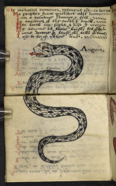 Add MS 57312 f.4 Jagdbuch von English School