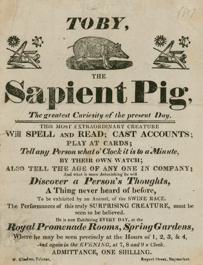 Werbung für Toby das weise Schwein, die größte Kuriosität der Gegenwart von English School