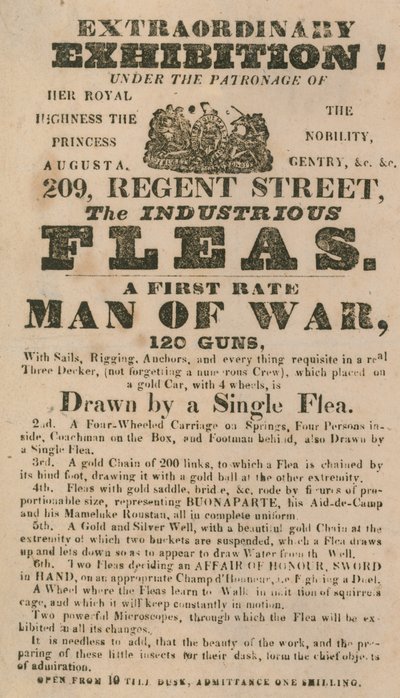 Anzeige für eine Ausstellung der fleißigen Flöhe von English School
