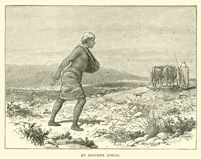 Ein östlicher Sämann von English School