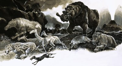 Tiere aus dem Oligozän von English School