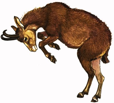 Antilope von English School