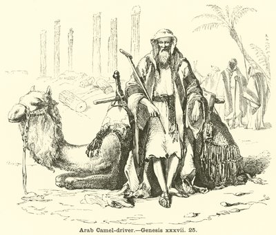 Arabischer Kamel-Treiber, Genesis, xxxvii, 25 von English School